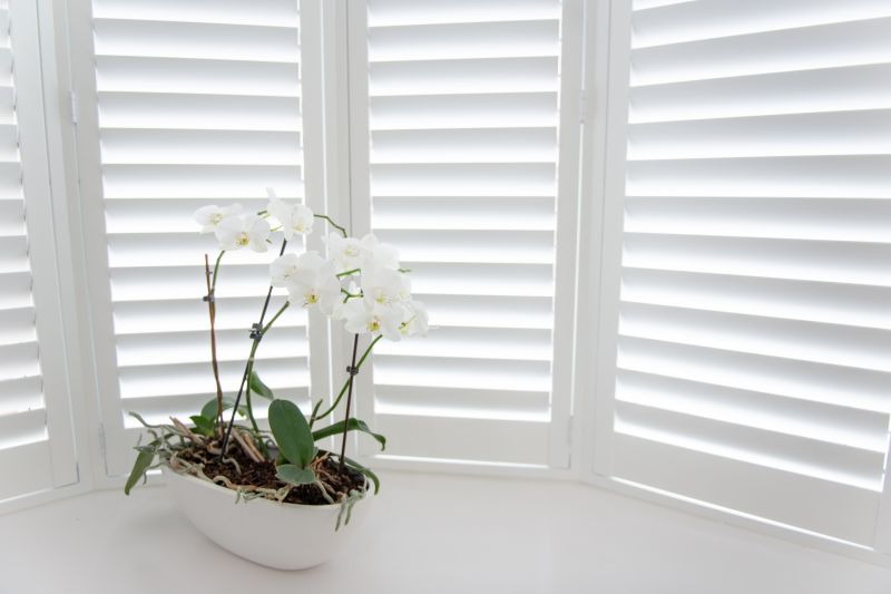Window Shutter Installation in Kansas City, KS